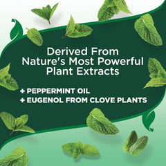 HERO PET  Vet's Best Natural Flea and Tick Spray for Dogs – Plant-Based Flea Repellent with Certified Essential Oils – Natural Pest Control and Prevention – Non-Toxic Formula for Home Use – 8 oz Bottle
