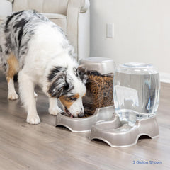 Petmate Pet Cafe Cat and Dog Water Dispenser - Water Bowl for Cats and Dogs