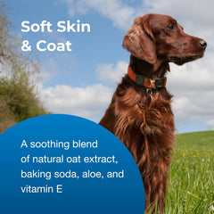 Fresh N Clean - PetAg Fresh ’n Clean Oatmeal ’n Baking Soda Conditioner, Tropical Fresh Scent - 18 oz - Gently Cleans, Soothes & Deodorizes Dogs with Vitamin E & Aloe Vera - Soap Free