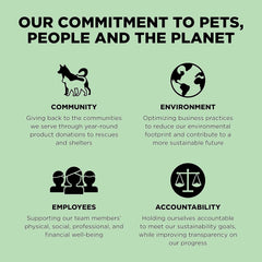 Go! Solutions Skin + Coat Care, Dry Dog Food, Turkey Recipe with Grains, 22 lb Bag