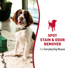 Nature’s Miracle® Stain & Odor Remover, Tough on Dog Urine, Feces, Vomit, Drool and Other Organic Stains and Odors, 1 Gallon