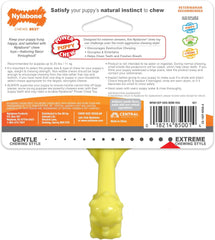 Nylabone Axis Bone Power Chew Toy for Dogs, Dog Toys for Aggressive Chewers, Vanilla Flavor