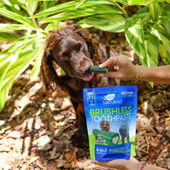 Ark Naturals Brushless Toothpaste, Dog Dental Chews, Freshens Breath, Helps Reduce Plaque & Tartar, 1 Pack