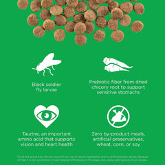 Go! Solutions Sensitivities Limited Ingredients, Grain-Free Dry Dog Food, Insect Recipe for Sensitive Stomach, 12 lb Bag