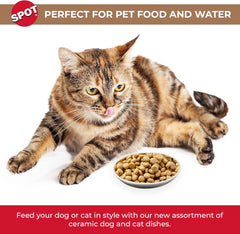 SPOT I Love Cats Round Cat Food Dish - Ceramic Plate with Low Edges, Saucer with Whisker-Friendly Shape and Low Profile Sides, Ideal for Wet or Dry Cat Food, Dishwasher Safe- 5 inch- 1 Cup (8Oz)