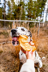 Redbarn Premium All-Natural Cow Ear for Dogs - Slow Roasted Single Ingredient Rawhide Alternative Chew Treat for Aggressive Chewers