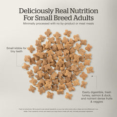 Now Fresh Grain-Free Small Breed Dry Dog Food with Turkey, Salmon & Duck, Healthy Kibble for Adults Made with Real Meat & Fish, Chicken-Free Recipe, Pumpkin & Probiotics for Good Digestion