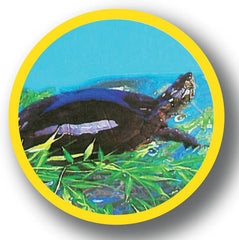 Marineland Bamboo 3 Feet, Décor For aquariums and Terrariums