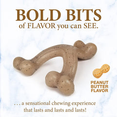 Nylabone Gourmet Style Wishbone Strong Chew Toy for Puppies, Peanut Butter Flavor