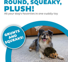 Outward Hound, Hedgehogz Plush Dog Toy