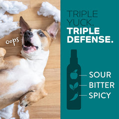 TropiClean No Chew Spray for Dogs, Better Than Bitter Apple Spray, Safe & Natural Chew + Lick Deterrent, Protect Home 8 oz