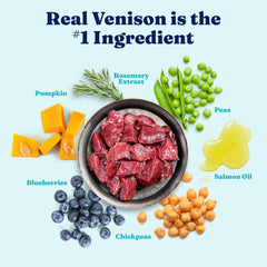 Solid Gold Dry Dog Food for Sensitive Stomachs - Grain Free & Gluten Free w/Venison, Pumpkin & Probiotics for Gut Health & Digestion - Sensitive Stomach Dog Food for All Ages - Nutrientboost 22-lb