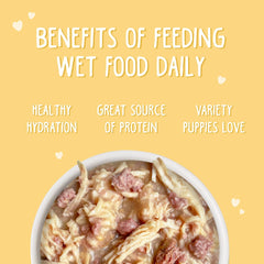 Weruva Puppy, Chicken Formula in Gravy (Pack of 8)