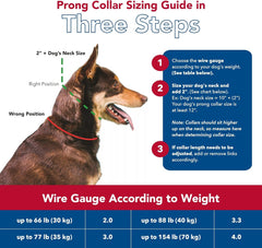 Titan - Coastal Pet Titan Dog Prong Training Collar - Rust-Resistant and Prong Metal Training Chain Collar for Dogs - Quality Supplies