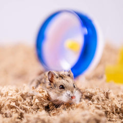 Americas Choice PETSPICK Uber Soft Paper Pet Bedding for Small Animals, Natural, 56L