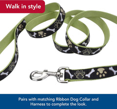 Coastal Pet Ribbon Dog Leash - Contemporary Stylish Look - Durable Fade-Resistant Nylon Material - Perfect for Dogs, 5/8" x 06'