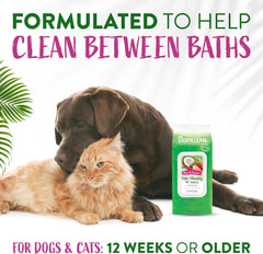 TropiClean Dog Wipes for Paws, Butt, Face, and Body, Anytime Cleaning and Deodorizing Pet Wipes, Safe for Licking, Berry Scent, Cat Safe 100 count