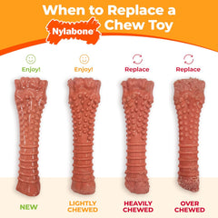 Nylabone Dental Dinosaur Power Chew Toy for Dogs, Dog Toys for Aggressive Chewers, Chicken Flavor