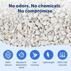 PetSafe ScoopFree Premium Fragrance-Free Natural Cat Litter - Long-Lasting Litter - High Absorbency & Low-Tracking Design - Non-Clumping Pebbles - 8 lb Bag