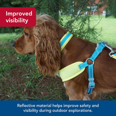 Coastal Pet - Pro - Reflective Adjustable Dog Collar, Bright Green with Grey