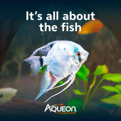 Aqueon Fish Tank Aquarium Essentials Starter Kit