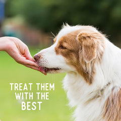 Beg & Barker Chicken Chips for Dogs - Single Ingredient Dog Treats Made for Small and Large Dogs Protein Human Grade Dog Treats Made from Real Meat Chicken, Made in USA