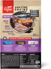 ORIJEN Amazing Grains Puppy Large Dry Dog Food, High Protein Dog Food for Large and Giant Puppy Breeds, Fresh or Raw Ingredients