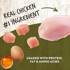 Earthborn Holistic K95 Chicken Recipe Grain-Free Canned Moist Dog Food 12 / 13 oz