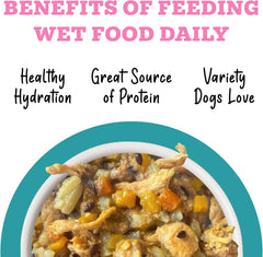 Weruva Awesome Belly Wet Dog Food, Chicken, White Rice & Pumpkin with Papaya (Pack of 8)