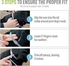 Flea & Tick Collar Plus for Dogs & Puppies |2 Pack |12-Month Protection |One Size Fits All Dogs & Puppies 12 Weeks and Older |Kills Fleas and Ticks |Repels Mosquitoes