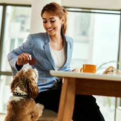 Exclusively Dog Carob Sandwich Cremes Cookies - All Natural Dog Treats, No Animal Byproducts, Baked in The USA, Ideal for Medium to Large Dogs - Carob Flavor, 8oz Bag