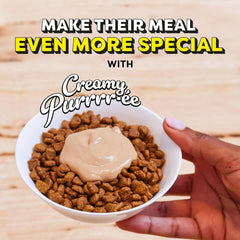 Temptations Creamy Puree Squeezable Lickable Wet Cat Treats with Chicken