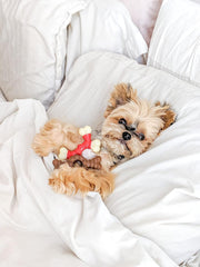 Nylabone Double Bone Power Chew Toy for Dogs, Dog Toys for Aggressive Chewers, Bacon Flavor, X-Small