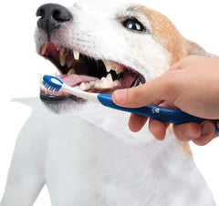 Nylabone Advanced Oral Care Puppy Dental Kit Puppy