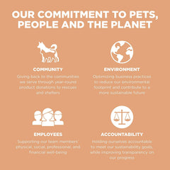 Go! Solutions Digestion + Gut Health, Dry Cat Food, Salmon Recipe with Ancient Grains