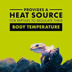 Zilla Incandescent Bulb, Day Blue