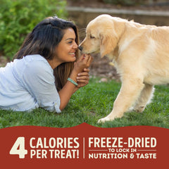 ACANA Singles Freeze Dried Dog Treats, Limited Ingredient Grain Free Beef & Pumpkin Recipe