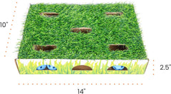Petstages Catstages Grass Patch Hunting Box Interactive Bat & Swat Game for Indoor Cats, 3 Jingle Balls Included, Green