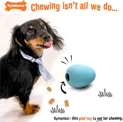 Nylabone Eggi Interactive Fillable Dog Chew Toy - Lightweight Bouncy Floatable Dog Treat Toy for Creative Play & Dog Exercise, Blue, Large/Giant - Up to 50 lbs. (1 Count)