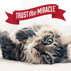 Nature's Miracle Advanced Platinum Cat Pet Block Repellent Spray, 8 Ounces, Indoor Training Aid for Cats