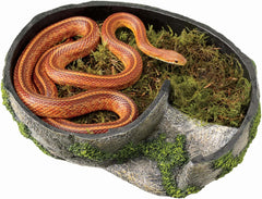 Zilla Pet Terrarium Rock Lair, Reptile Hide for Lizards, Snakes and More, Large