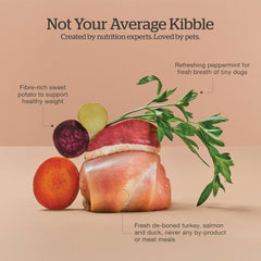 Now Fresh Grain-Free Small Breed Dry Dog Food with Turkey, Salmon & Duck, Healthy Kibble for Adults Made with Real Meat & Fish, Chicken-Free Recipe, Pumpkin & Probiotics for Good Digestion