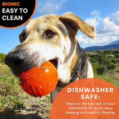 BIONIC Ball Dog Toy, Large - Interactive Dog Chew Toy That Stands Up to The Toughest Chewers