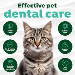 TropiClean Fresh Breath Cat Toothpaste for Teeth Cleaning, Breath Freshener, Easy to Use Plaque & Tartar Remover Gel