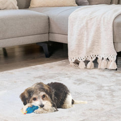 Petstages Mini Orka Chew Pair Bone & Dumbbell Dog Toys - 2 Pack