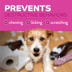 TropiClean No Chew Spray for Dogs, Better Than Bitter Apple Spray, Safe & Natural Chew + Lick Deterrent, Protect Home 8 oz