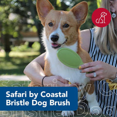 Safari Bristle Dog Brush - Gentle Grooming Brush for All Coat Types - Removes Dog Hair & Offers Natural Oil Distribution