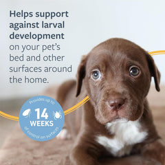 Veterinary Formula Flea and Tick Spray for Dogs – Easy-to-Use Dog Flea Spray, Kills on Contact, Prevents Egg & Larval Development for 14 weeks