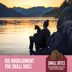 ORIJEN Amazing Grains™ Small Breed Dry Dog Food Recipe