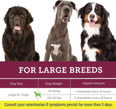 Canine Aspirin for Dogs | Fast Pain Relief | Large to X-Large Dogs | Liver Flavor | 120 Chewable Tablets